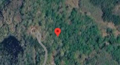 A true nature lover's paradise! This mostly wooded 8.103-acre lot offers exceptional privacy and natural beauty, bounded to the east by a peaceful run with scenic ravines running through the property.