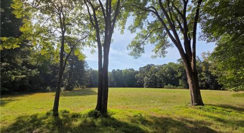 View from Bush Neck Road