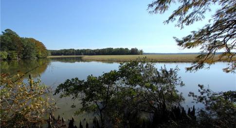 View from the Dock at 2051 Bush Neck Road