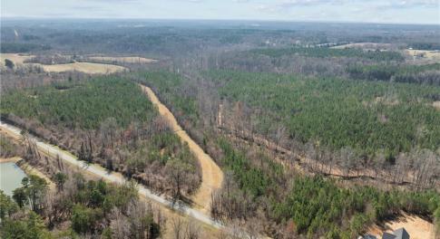 Natural Hardwoods and pines