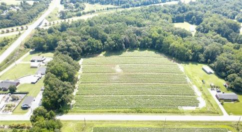 Beautiful 17+ acres with 560+ feet of road frontage
