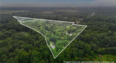 Brim Rd is near top right corner