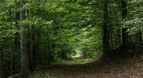 Solid Farm Roads
