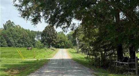 Looking down Bluestone