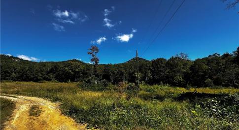 Acreage on both sides of Reid Rd - private road