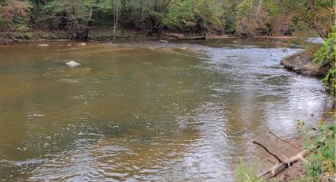 The Dan River on the Property