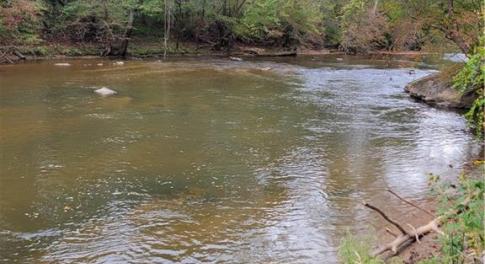The Dan River on the Property