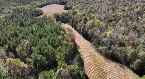Access and field, facing south