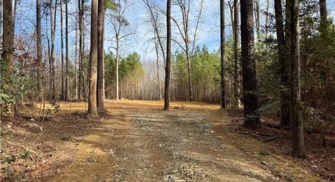 Driveway pushed in and opening for possible homesite has been cleared