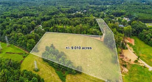 9.010 acres beautifully situated with rise to build your dream home with plenty of space for outdoor activities!!!