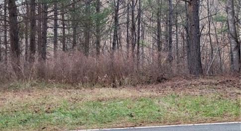 Easy access off Bowen Road