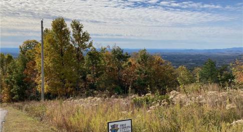 Local View