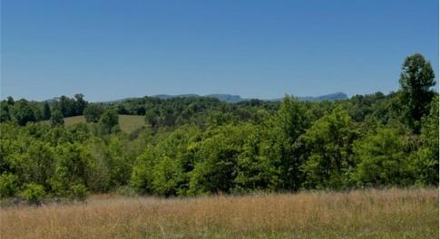 Perfect location to build your dream home!