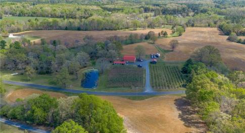 54.04 private acres with pond, creek, and existing agricultural infrastructure
