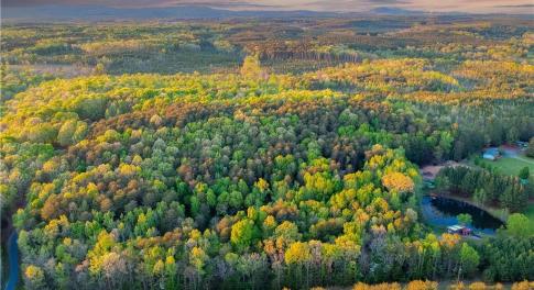 Property is approximately located in between driveway on the left and pond on the right. Photo color virtually enhanced.