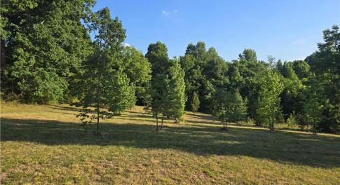 Welcome to 217 Cedar Ridge Rd - Randleman