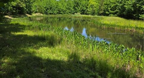 Back of lot with pond view