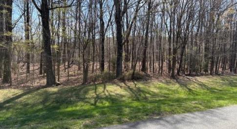 Beautiful wooded tract