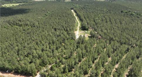 Interior gravel road entering off Bennett Rd