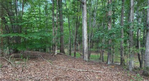 Secluded woodlot with plenty of space to clear a private homesite, cabin, or self-sustaining mini-farm surrounded by nature.