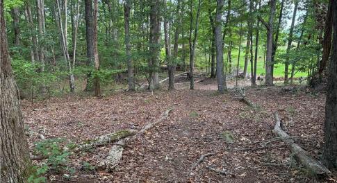 Beautiful, private wooded acreage—an ideal setting for building your custom dream home, homestead, or quiet rural retreat.