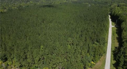 94 acres