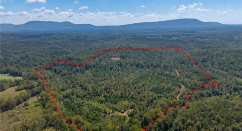 136 plus acres of vacant land with mountain views, ATV trails, wildlife, max elevations up to 1,100 feet, and approx. 4,000 feet of creek frontage to Pinch Gut Creek.  30 ft. Easement off Wright Road to top of knoll.