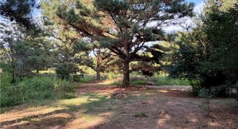 Mixture of cleared and wooded land maintains privacy with minimal clearing for building and easy access to walk the land.