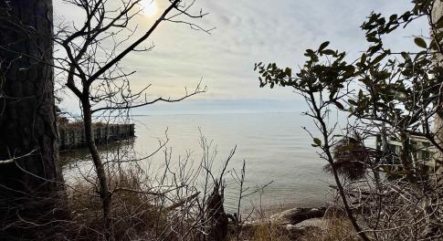 Water view from the lot