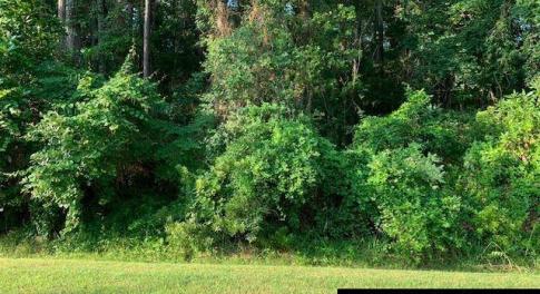 Homesite Frontage