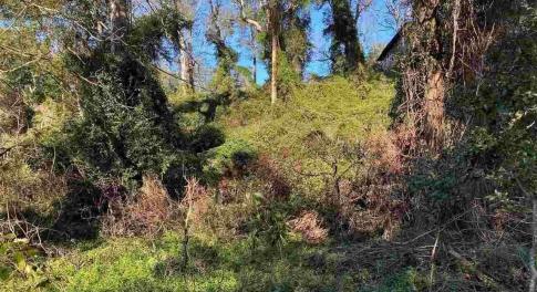 Large Lot in an 'X' flood zone!
