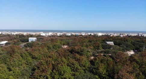 ocean view