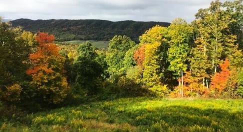 4.61 Acres DR #29