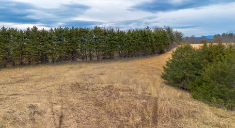 MLS Lot 8 Buckland-7