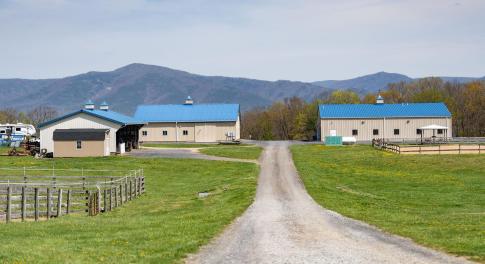 Rustic Ridge Farm