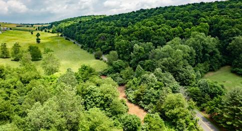 DJI_0047-HDR