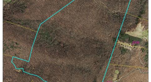 134.25 acres