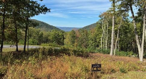 Delafield Rise Lot #50