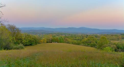 Sunset view