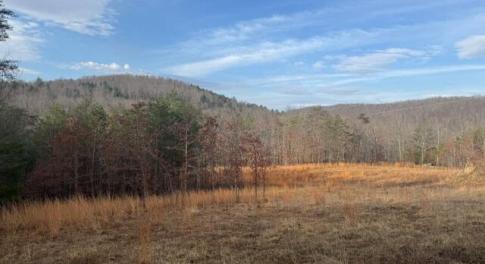 Morris TBD Little River Rd Lead Pic