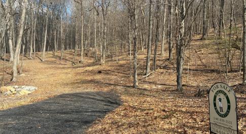 Sheep Meadow Lot #101