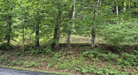 TBD Blue Ridge Road