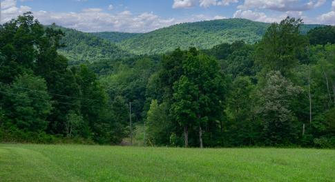MLS Blue Ridge Trl Land-4
