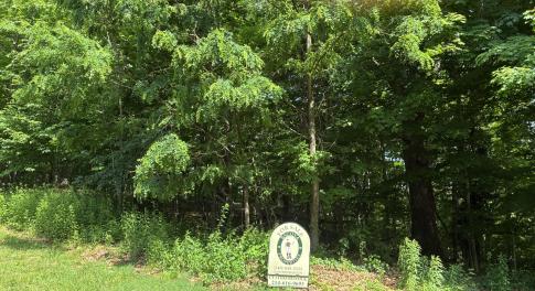 Sheep Meadow 31 Lot Pic