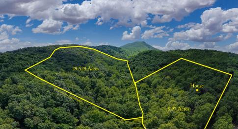 MLS Hollow Lane-11