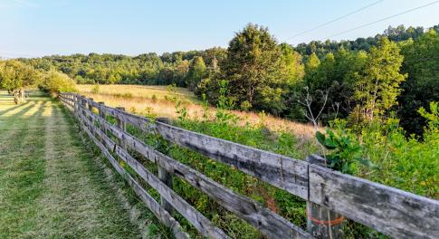 TBD Adair Hill