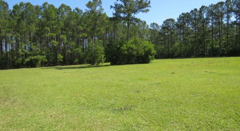 View of grassy yard
