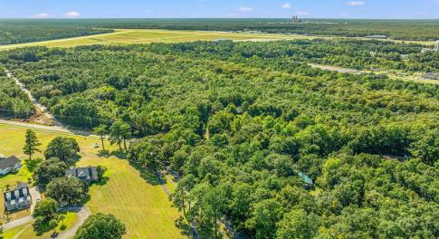 Bird's eye view of a forest