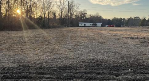 Yard at dusk with a rural view