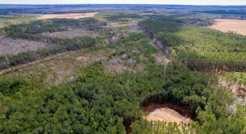 Aerial view with a view of trees